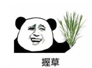 握草.jpg